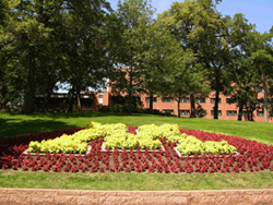 Fig.22, Complex carpet bedding